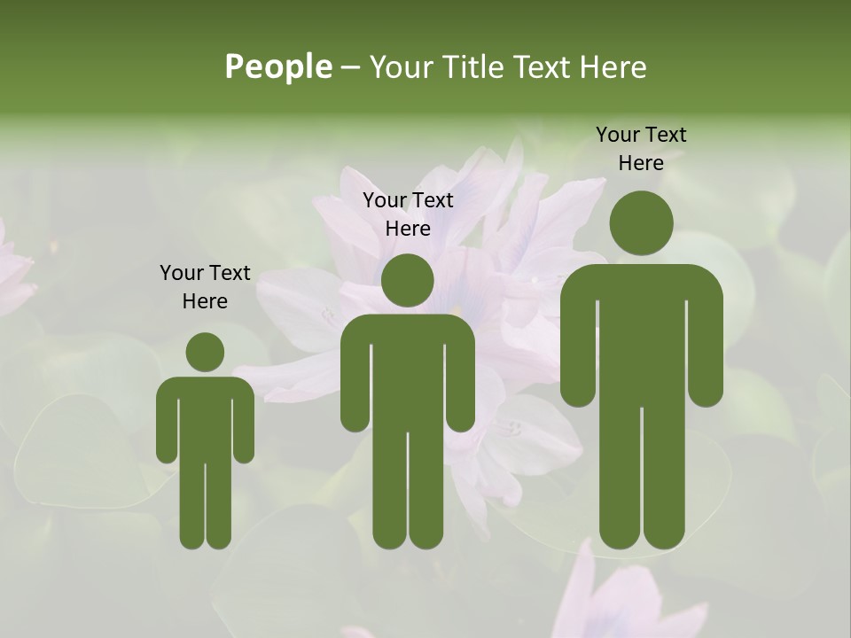 Back Pain Pain Body PowerPoint Template