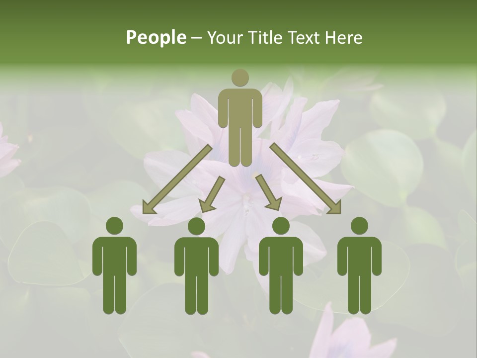 Back Pain Pain Body PowerPoint Template