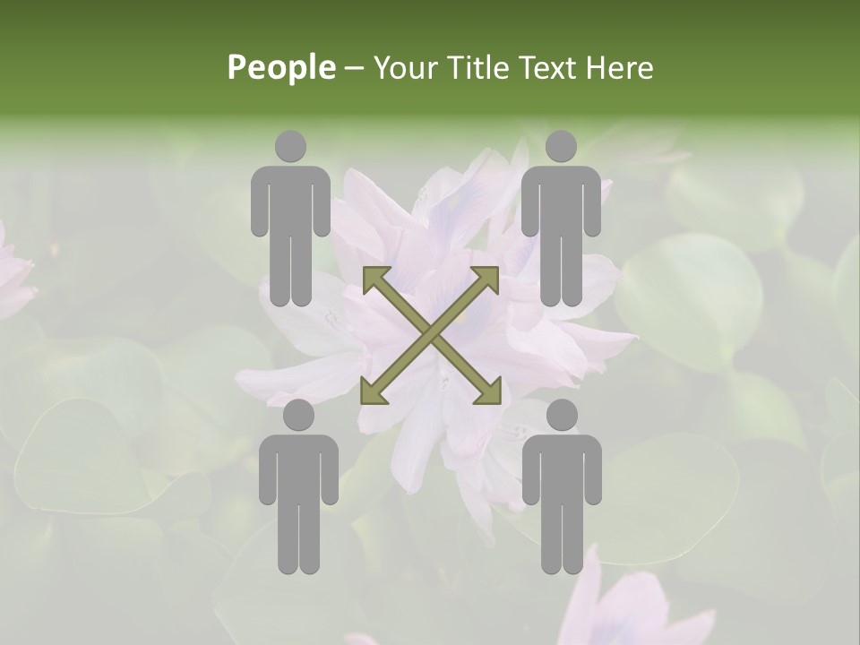 Back Pain Pain Body PowerPoint Template