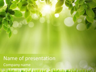 Forest Sun Leaf PowerPoint Template