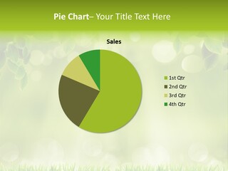 Forest Sun Leaf PowerPoint Template