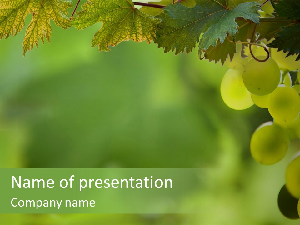 Nature Grapevine Farming PowerPoint Template