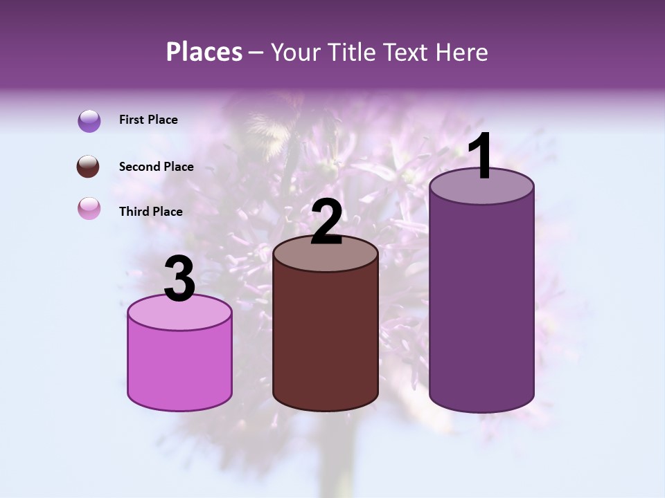 Collects Bee Animal PowerPoint Template