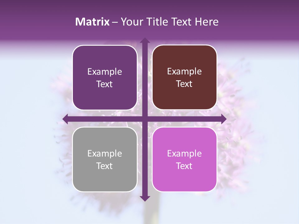 Collects Bee Animal PowerPoint Template