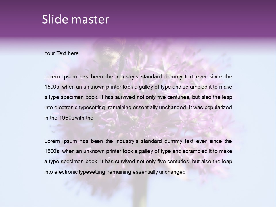 Collects Bee Animal PowerPoint Template