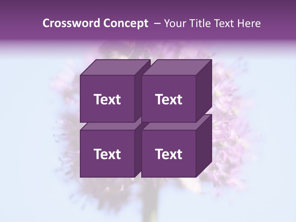 Collects Bee Animal PowerPoint Template