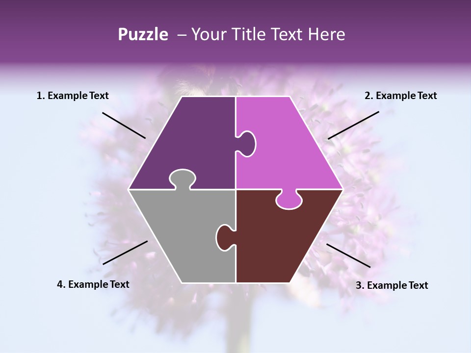 Collects Bee Animal PowerPoint Template