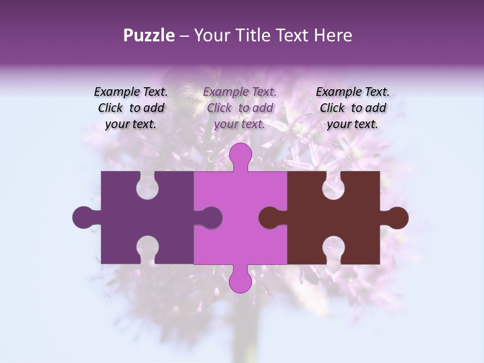 Collects Bee Animal PowerPoint Template