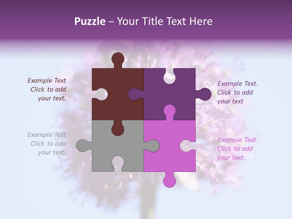 Collects Bee Animal PowerPoint Template