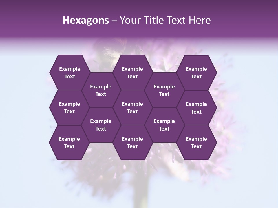 Collects Bee Animal PowerPoint Template