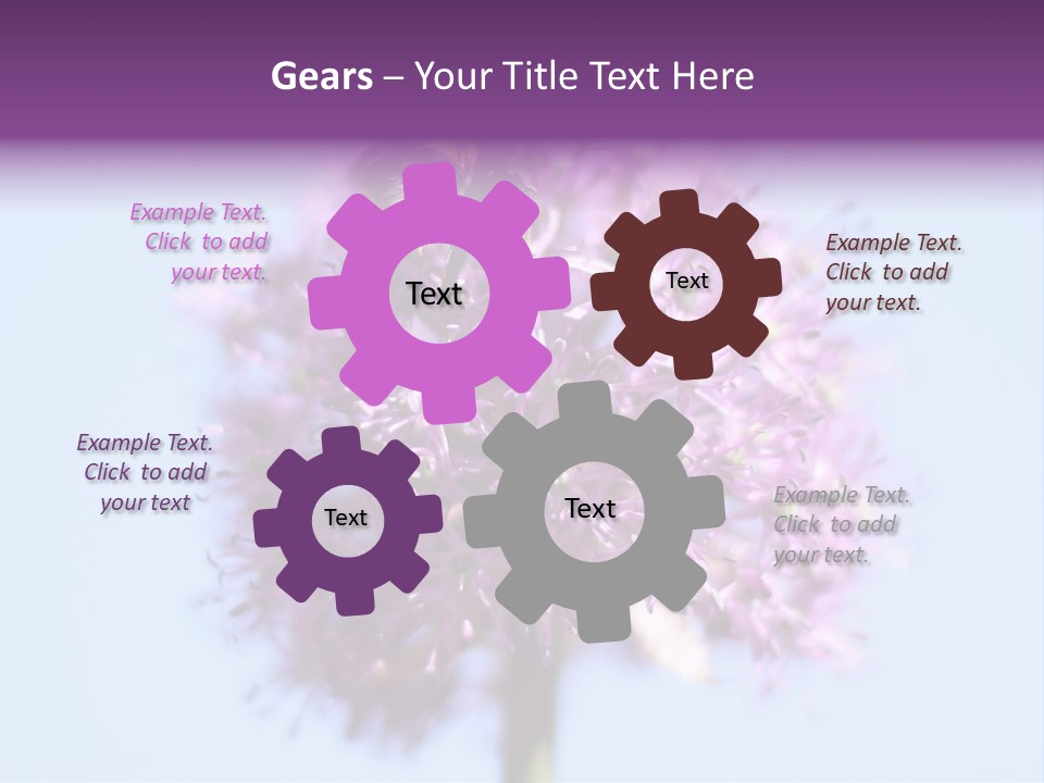 Collects Bee Animal PowerPoint Template