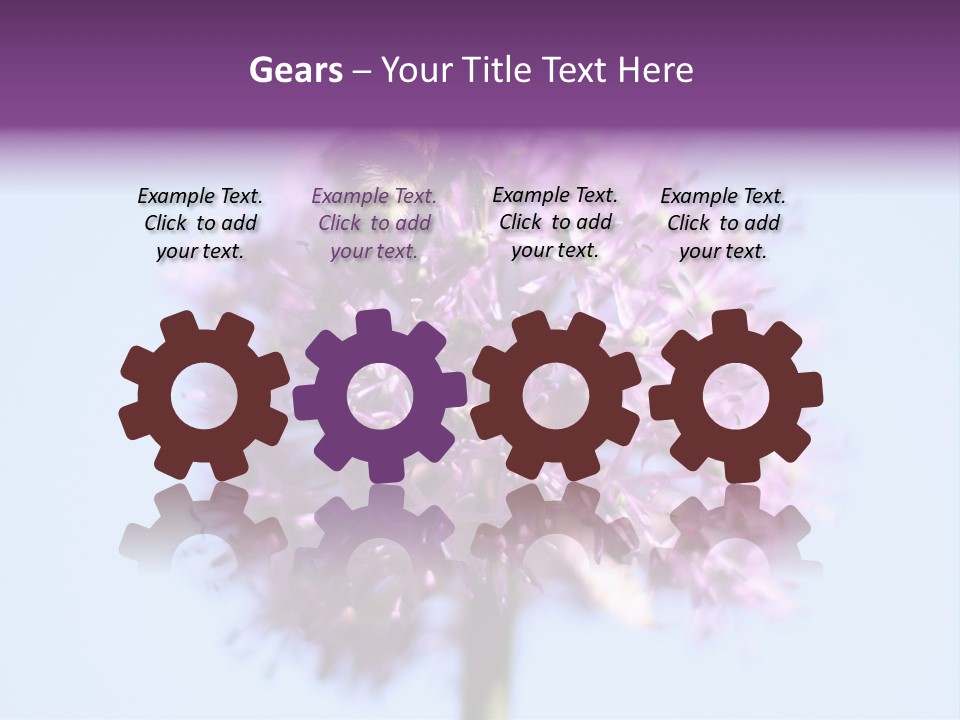 Collects Bee Animal PowerPoint Template