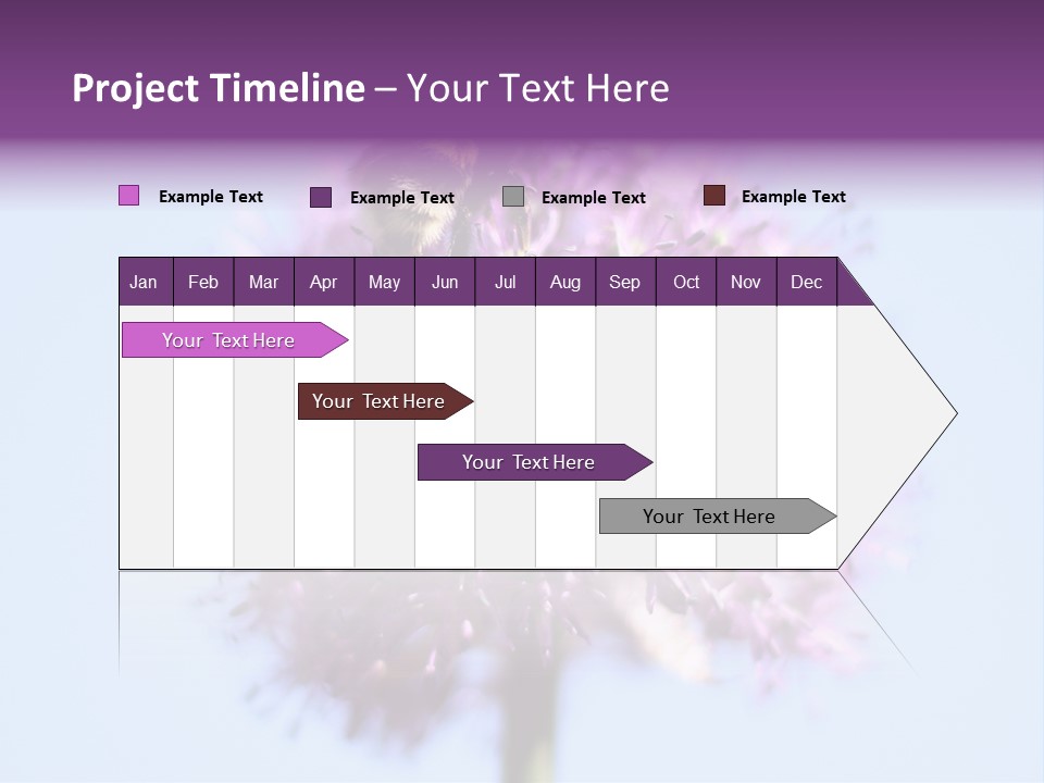 Collects Bee Animal PowerPoint Template