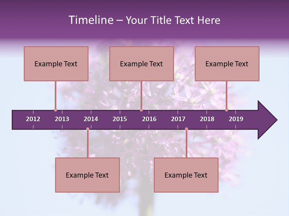 Collects Bee Animal PowerPoint Template