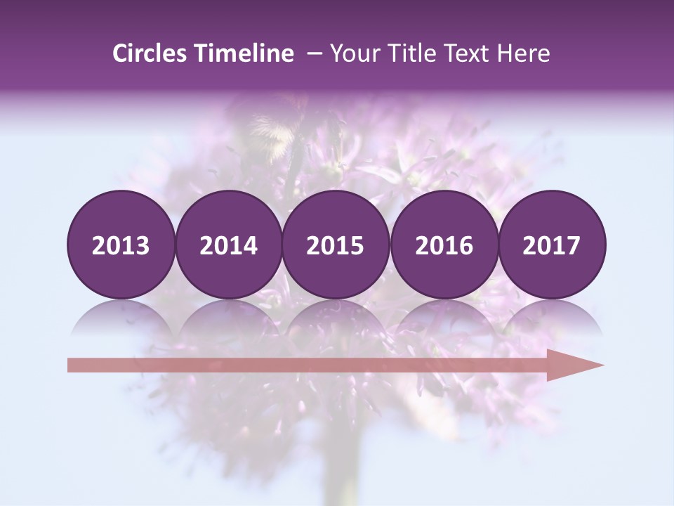 Collects Bee Animal PowerPoint Template