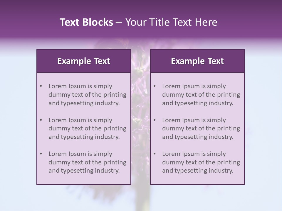 Collects Bee Animal PowerPoint Template