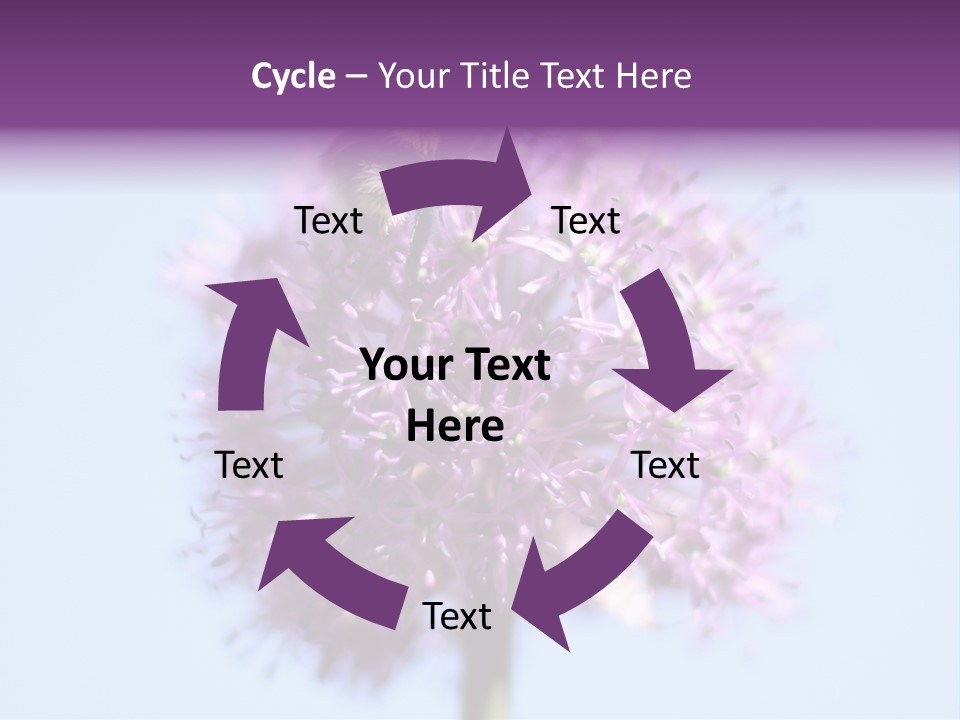 Collects Bee Animal PowerPoint Template