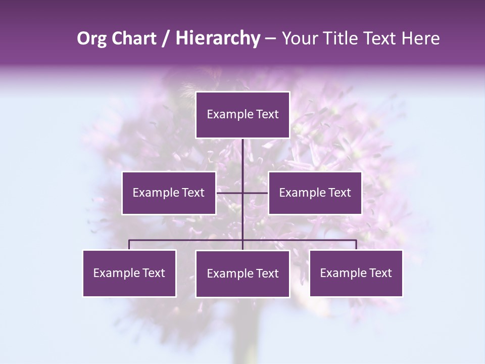 Collects Bee Animal PowerPoint Template