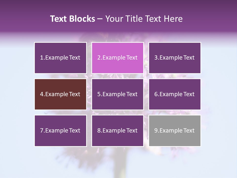 Collects Bee Animal PowerPoint Template