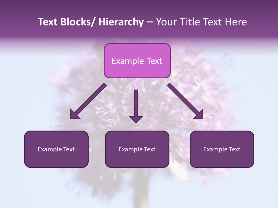 Collects Bee Animal PowerPoint Template