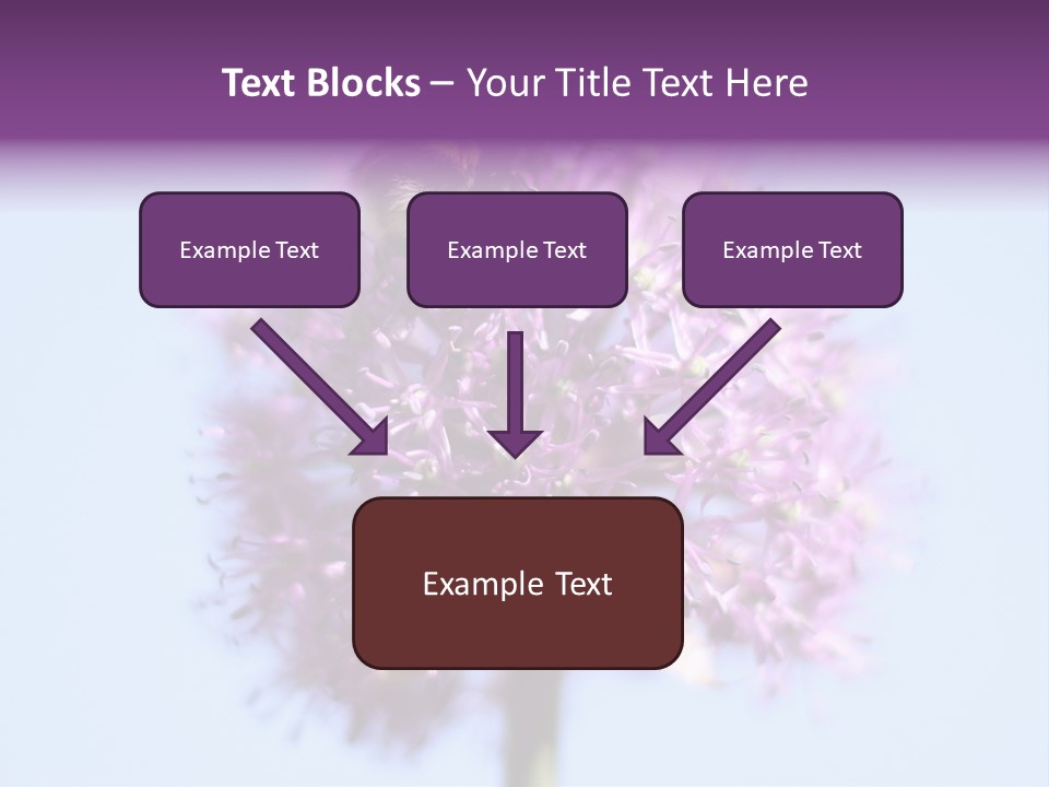 Collects Bee Animal PowerPoint Template