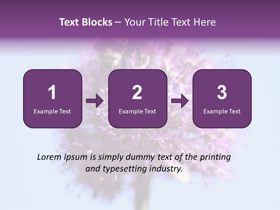 Collects Bee Animal PowerPoint Template