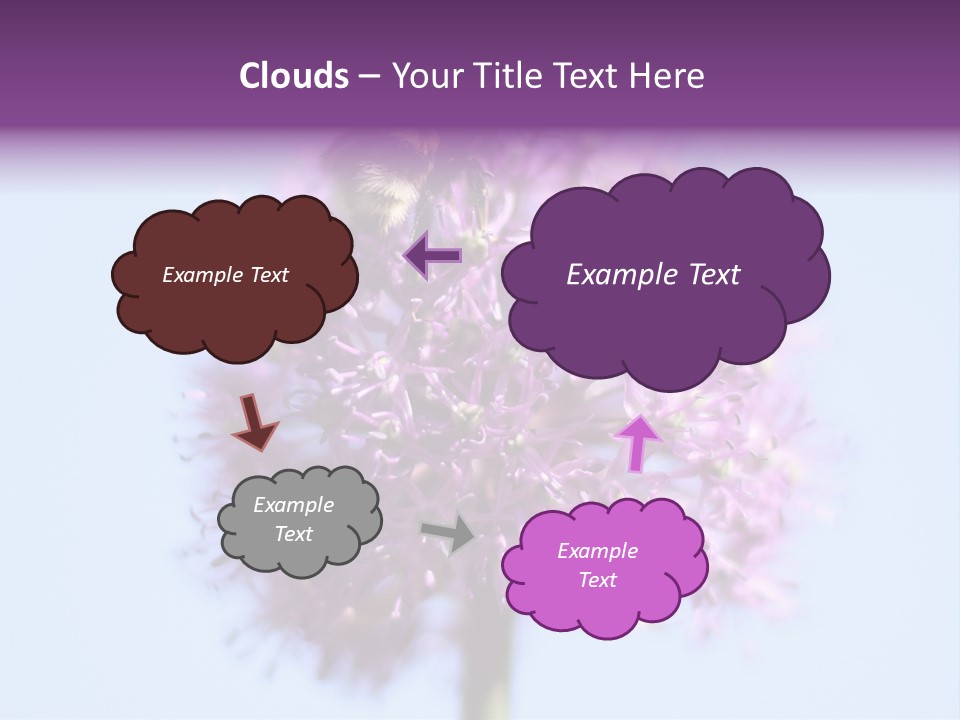 Collects Bee Animal PowerPoint Template