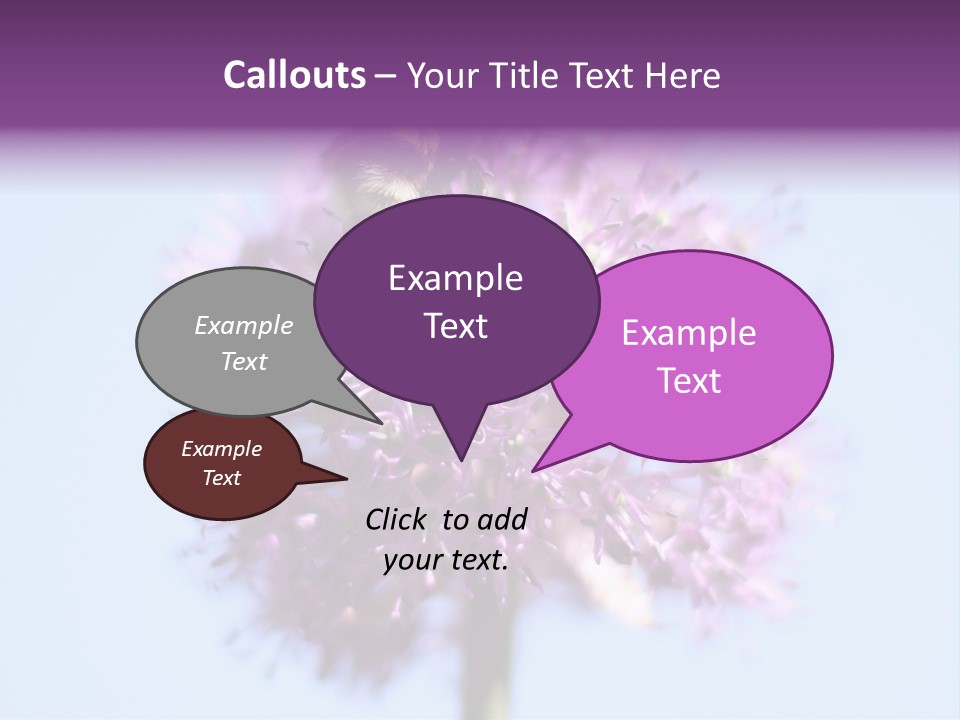 Collects Bee Animal PowerPoint Template