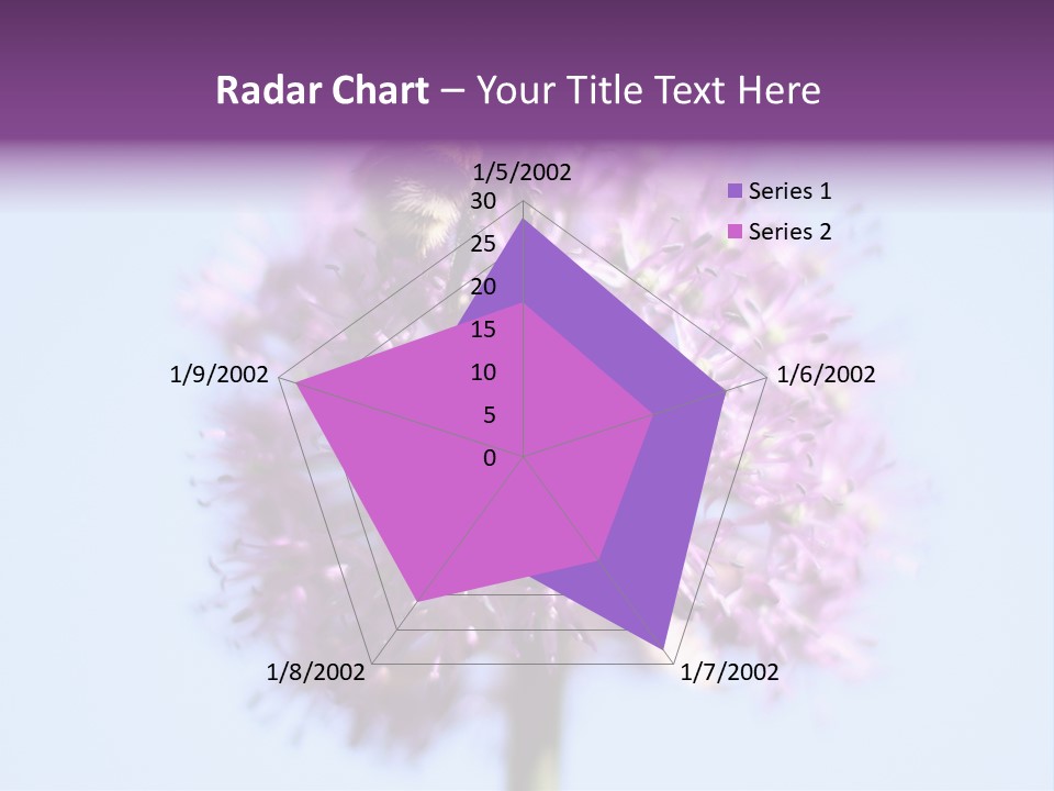 Collects Bee Animal PowerPoint Template