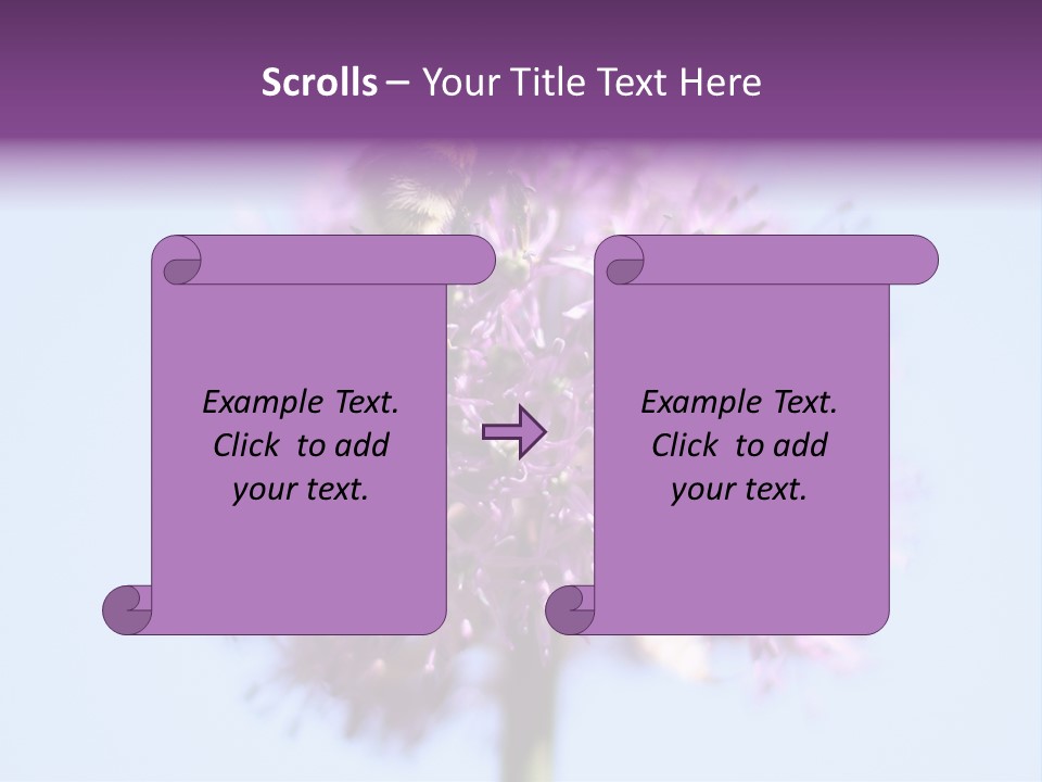 Collects Bee Animal PowerPoint Template