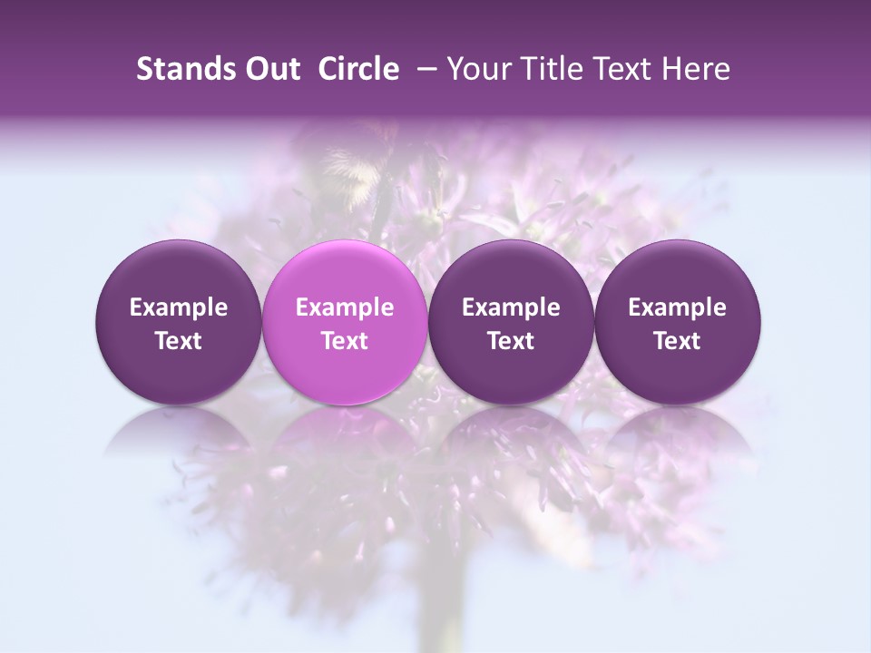 Collects Bee Animal PowerPoint Template