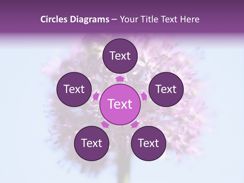 Collects Bee Animal PowerPoint Template