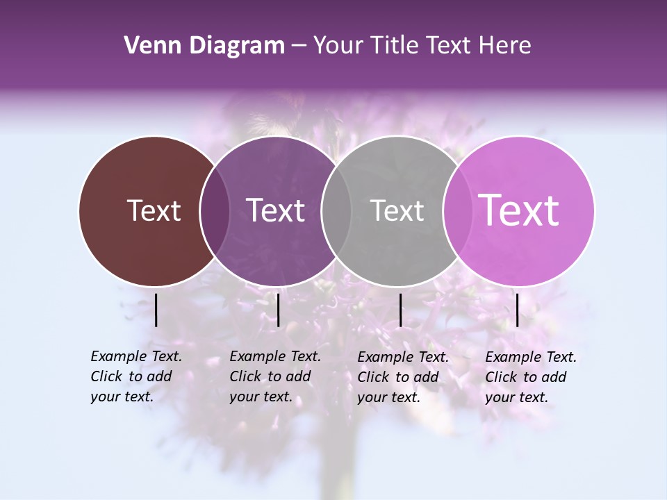 Collects Bee Animal PowerPoint Template