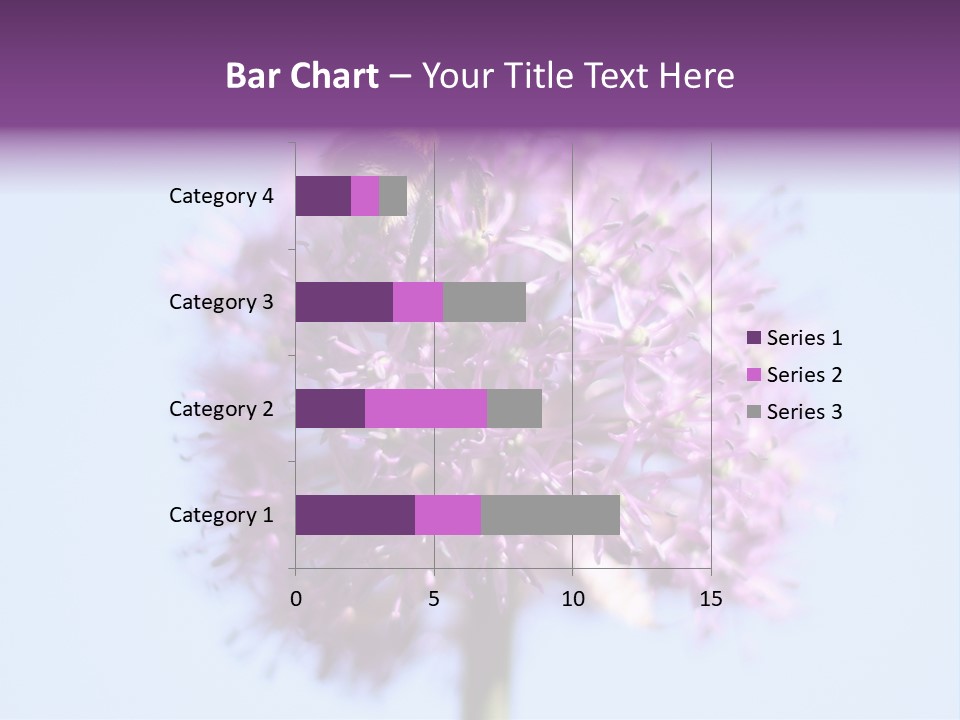 Collects Bee Animal PowerPoint Template