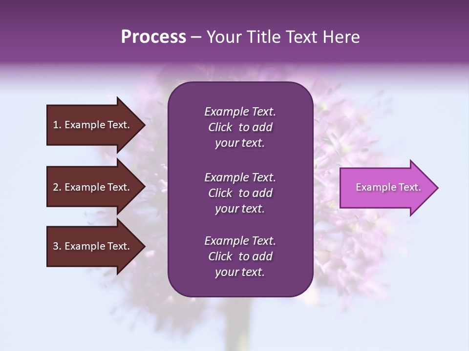 Collects Bee Animal PowerPoint Template