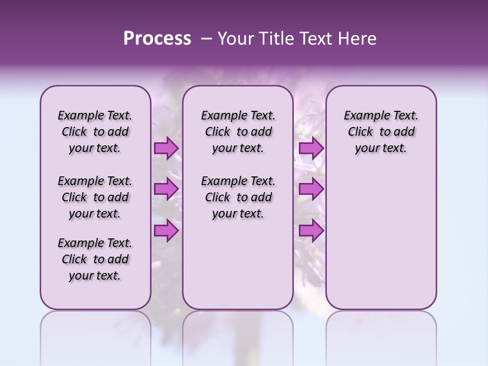 Collects Bee Animal PowerPoint Template