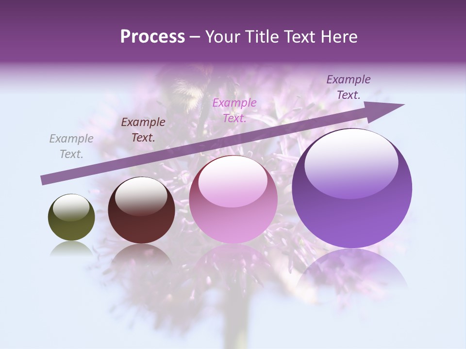 Collects Bee Animal PowerPoint Template