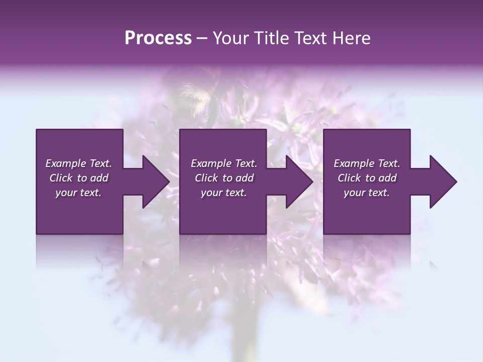 Collects Bee Animal PowerPoint Template