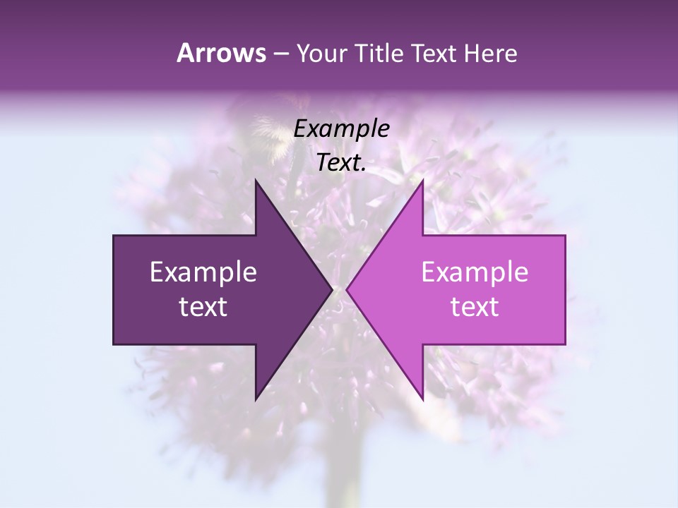 Collects Bee Animal PowerPoint Template