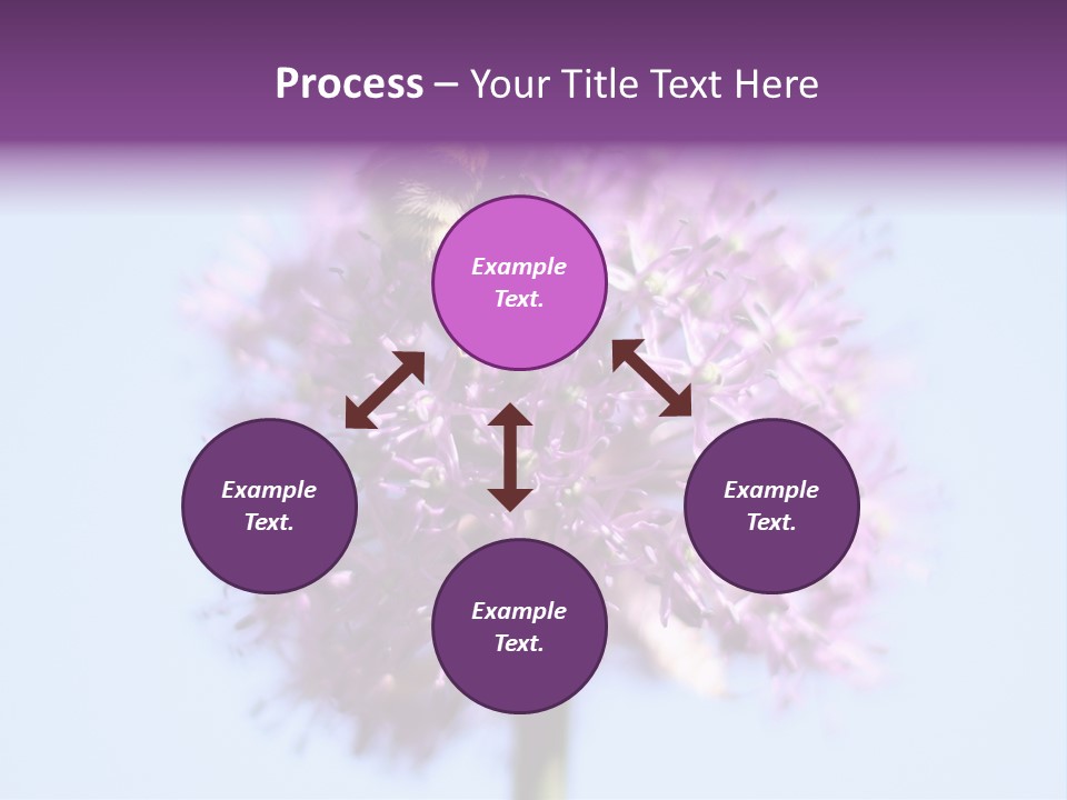 Collects Bee Animal PowerPoint Template