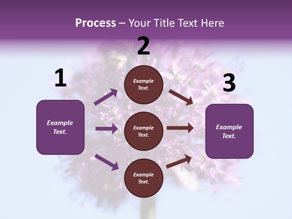 Collects Bee Animal PowerPoint Template