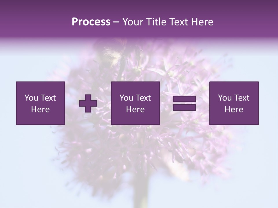 Collects Bee Animal PowerPoint Template