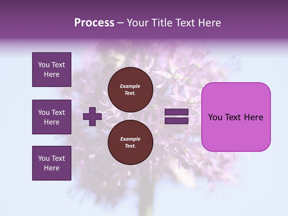 Collects Bee Animal PowerPoint Template