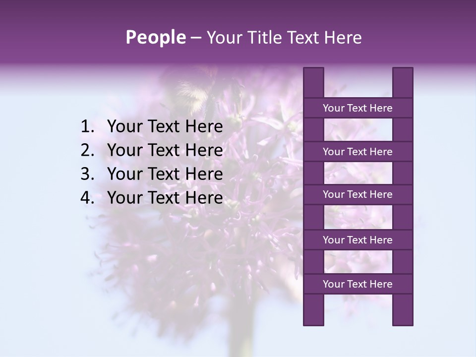 Collects Bee Animal PowerPoint Template