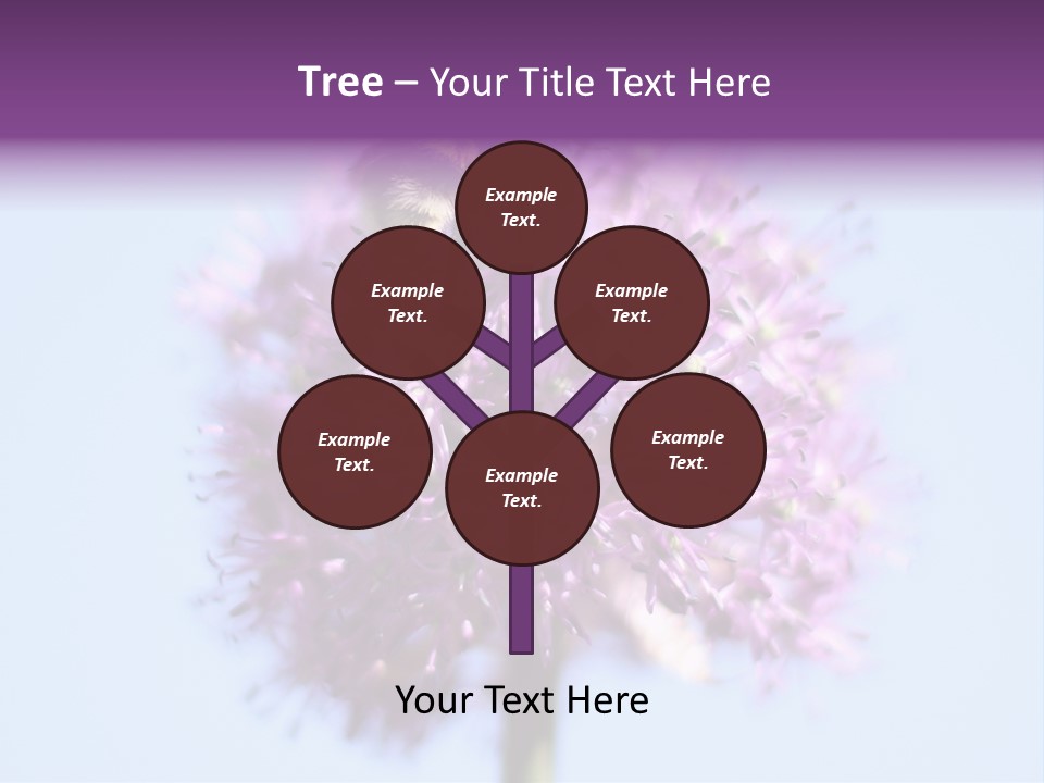 Collects Bee Animal PowerPoint Template