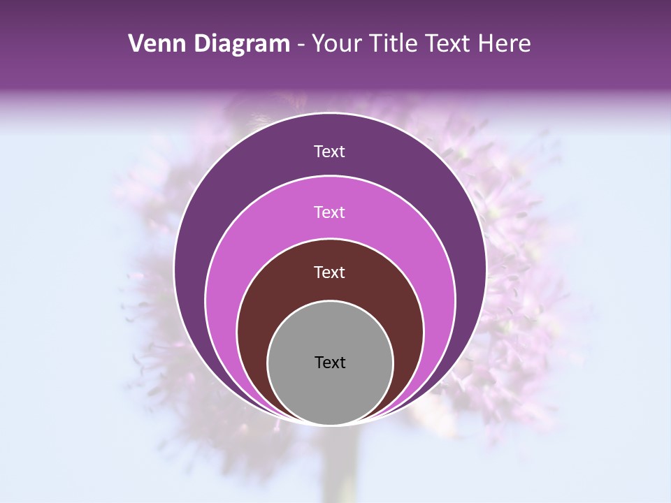 Collects Bee Animal PowerPoint Template