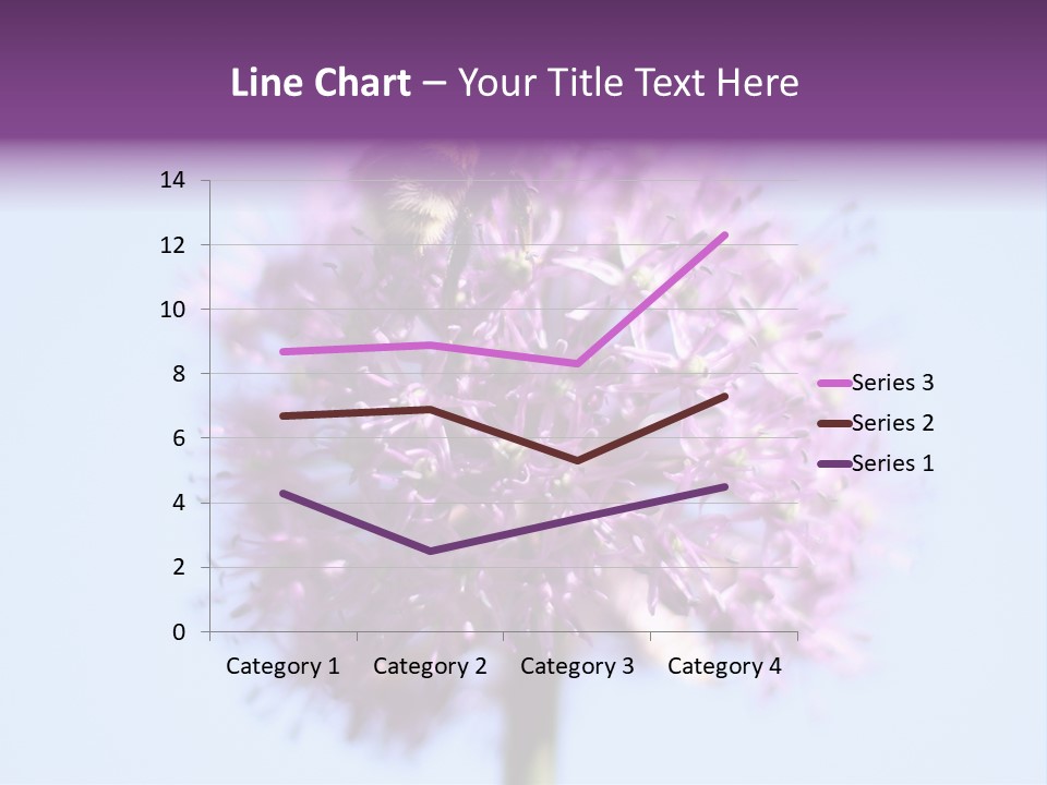 Collects Bee Animal PowerPoint Template