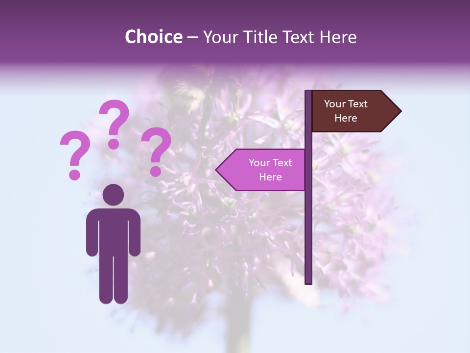 Collects Bee Animal PowerPoint Template