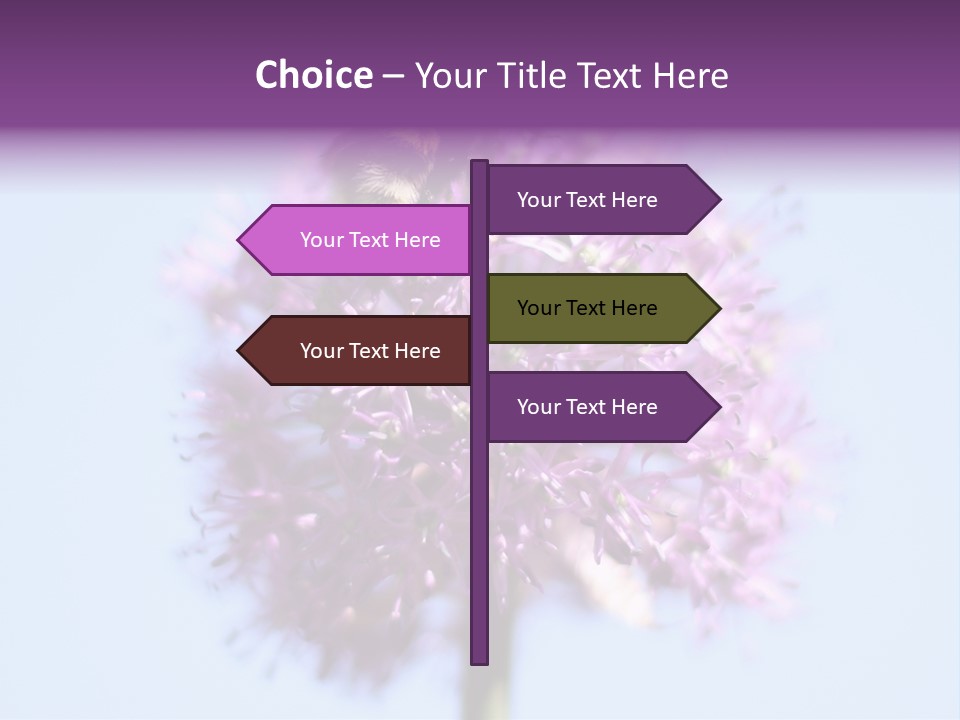 Collects Bee Animal PowerPoint Template