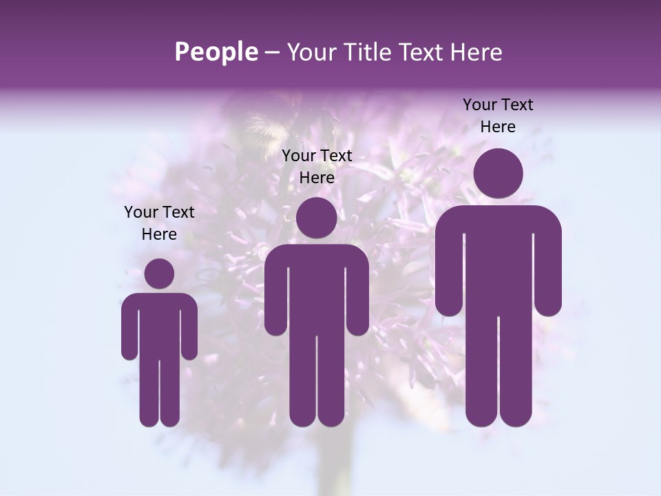 Collects Bee Animal PowerPoint Template